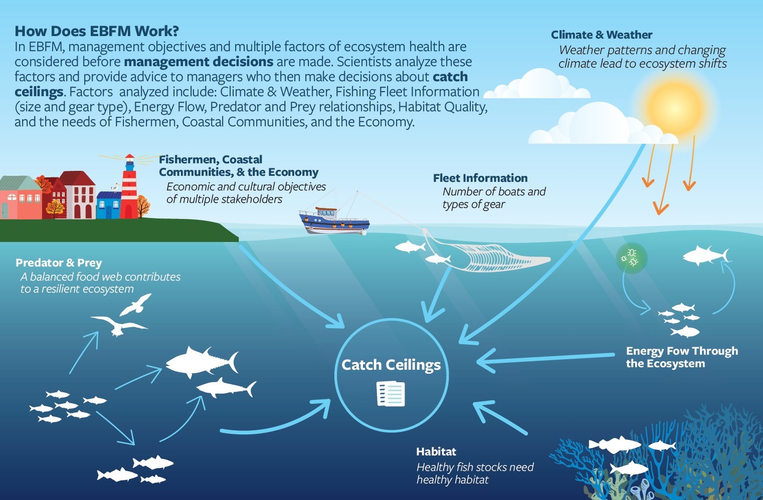 How-does-EBFM-work.jpg#asset:18351